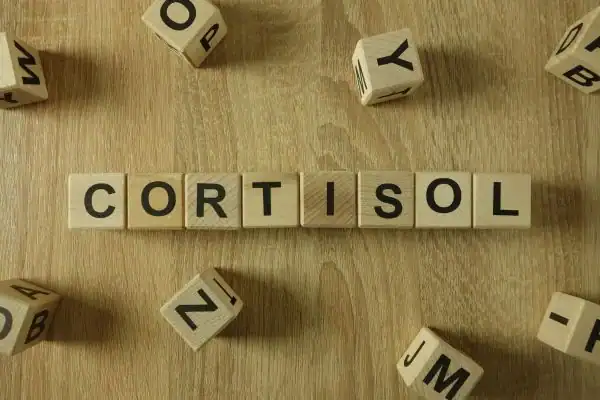 The Hidden Connection: How Stress Shapes Your Fitness and Body Composition 2 Image saying "Cortisol" and how stress Camberley impacts your wellbeing and bodies shape